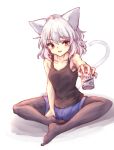  1girl :d absurdres animal_ears black_legwear black_tank_top blue_shorts can cat_ears cat_tail fang full_body giving highres holding holding_can incoming_drink legwear_under_shorts open_mouth original pantyhose red_eyes short_hair shorts silver_hair sitting sleeveless smile spread_legs tail tank_top utinokofia 