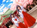  black_hair cherry_blossoms japanese_clothes long_hair miko multiple_girls shide shrine 