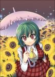  breasts flower flower_field from_above green_hair impossible_clothes impossible_vest kazami_yuuka looking_at_viewer parasol plaid plaid_skirt plaid_vest red_eyes short_hair skirt skirt_set smile sunflower touhou umbrella 