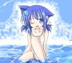  aokaze blue_eyes blue_hair cat_ears makino_(artist) makino_(ukiuo) oekaki original solo ukagaka 