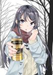  anno_masato bare_tree black_hair can canned_coffee commentary_request hair_ornament highres holding holding_can long_hair looking_at_viewer red_scarf sakurajima_mai scarf seishun_buta_yarou standing sweater tree violet_eyes winter 