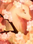  animal cherry_blossoms closed_mouth flower fox gen_1_pokemon kiusagi looking_to_the_side ninetales no_humans pink_flower pokemon pokemon_(game) pokemon_rgby sidelocks smile solo 