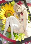  1girl ass babydoll bare_arms bare_shoulders blush braid breasts choker crown_braid dress eyebrows_visible_through_hair flower food fruit garter_straps hair_ribbon highres lingerie looking_at_viewer lying medium_hair navel negligee no_shoes on_side original panties plant red_ribbon ribbon ribbon_choker sidelocks silver_hair small_breasts solo stomach sunflower sutorora thigh-highs underwear underwear_only white_dress white_legwear white_panties yellow_eyes yellow_flower 