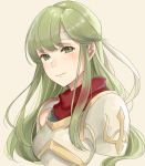  1girl armor breastplate cute eyebrows_visible_through_hair fire_emblem fire_emblem:_mystery_of_the_emblem fire_emblem:_mystery_of_the_emblem fire_emblem:_shadow_dragon fire_emblem:_shin_ankoku_ryuu_to_hikari_no_tsurugi fire_emblem_echoes:_mou_hitori_no_eiyuuou fire_emblem_echoes:_shadows_of_valentia fire_emblem_gaiden green_eyes green_hair haru_(nakajou-28) headband highres intelligent_systems lips long_hair looking_at_viewer nintendo palla_(fire_emblem) simple_background smile solo turtleneck upper_body white_background 