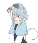  1girl animal_ears bakuha black_dress buttons capelet dress floppy_ears grey_hair head_down highres jewelry long_sleeves medium_hair mouse_ears mouse_tail nazrin pendant shirt simple_background solo tail touhou upper_body white_background white_shirt 