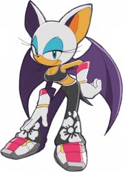  alternate_costume animal_nose baggy_pants bat bat_(animal) bat_wings blue_eyeshadow bracelet eyelashes eyeshadow floral_print full_body furry furry_female gloves green_eyes looking_at_another pants rouge_the_bat rouge_the_bat_(riders) sega shoes short_hair sonic_(series) sonic_riders sonic_riders_(series) sports_bra sportswear tail transparent_background white_fur white_hair wings 