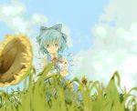  blue_hair bow cirno cloud clouds flower hizu ice noise_(hakusen) ribbon ribbons short_hair sky sunflower touhou wings 