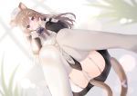  1girl :3 animal_ear_fluff animal_ears apron armband ass black_dress blurry blurry_background blurry_foreground blush bow brown_hair cat_ears cat_girl cat_tail closed_mouth depth_of_field dress dutch_angle from_below garter_straps hair_ornament hat leo_(mafuyu) long_hair long_sleeves looking_at_viewer mafuyu_(chibi21) multicolored_hair nurse_cap original panties purple_bow purple_hair skindentation smile solo squatting streaked_hair tail thigh-highs underwear violet_eyes white_apron white_headwear white_legwear white_panties 