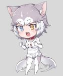  1girl :3 ahoge animal_ears blue_eyes blush breasts brown_eyes chibi collar collarbone dog_(mixed_breed)_(kemono_friends) dog_ears dog_tail elbow_gloves fang full_body gloves grey_background grey_hair heterochromia kemono_friends looking_away medium_breasts multicolored_hair nyifu open_mouth pantyhose shirt short_hair simple_background smile solo tail tail_wagging white_gloves white_hair white_legwear white_shirt 