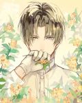  1boy bangs brown_hair buttons collar collared_shirt covered_mouth cuffs flower gloves grey_eyes hand_to_own_mouth heshikiri_hasebe heterochromia holding holding_flower kasa77322 long_sleeves looking_at_viewer male_focus parted_bangs shirt short_hair simple_background sleeve_cuffs solo touken_ranbu upper_body white_gloves white_shirt yellow_background yellow_eyes yellow_flower 