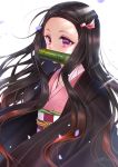  1girl ahoge asa_no_ha_(pattern) bamboo bit_gag black_hair checkered_obi cowboy_shot forehead gag gradient_hair hair_ribbon haori highres japanese_clothes kamado_nezuko kimetsu_no_yaiba kimono long_hair long_sleeves multicolored_hair obi owl_(polaris_ilu) petals pink_eyes pink_kimono redhead ribbon sash signature simple_background solo two-tone_hair white_background wide_sleeves wind 