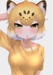  1girl absurdres alternate_costume animal_ears arm_at_side arm_behind_head arm_up bare_arms brown_hair casual collarbone deku_suke eyebrows_visible_through_hair highres holding_toothbrush jaguar_(kemono_friends) jaguar_ears kemono_friends light_brown_hair looking_at_viewer mouth_hold multicolored_hair shirt short_hair short_sleeves solo toothbrush toothbrush_in_mouth upper_body white_hair yellow_eyes yellow_shirt 