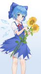  1girl :o absurdres bangs blue_background blue_bow blue_dress blue_eyes blue_hair blush bow cirno commentary_request detached_wings dishiren dress eyebrows_visible_through_hair feet_out_of_frame flower frilled_sleeves frills gradient gradient_background hair_bow highres holding holding_flower ice ice_wings neck_ribbon open_mouth pinafore_dress red_neckwear red_ribbon ribbon shirt short_hair short_sleeves solo standing sunflower touhou white_shirt wings yellow_flower 