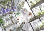  1girl blurry blurry_foreground commentary_request depth_of_field dress dutch_angle flower holding indoors lace lace-trimmed_dress long_hair looking_away naruse_chisato original parted_lips plant purple_flower see-through shelf short_sleeves silver_hair solo standing transparent violet_eyes white_dress white_flower 