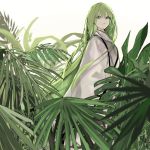  1other androgynous bangs closed_mouth enkidu_(fate/strange_fake) eyelashes fate/grand_order fate/strange_fake fate_(series) fern grey_eyes highres light_green_hair long_hair naruwe plant robe simple_background solo very_long_hair white_background white_robe 
