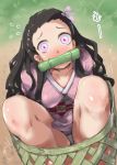  1girl 4shi arms_behind_back bamboo bare_legs basket bit_gag black_hair blush breasts checkered_obi commentary_request day embarrassed gag hair_ribbon highres in_basket japanese_clothes kamado_nezuko kimetsu_no_yaiba kimono knees_apart_feet_together knees_up long_hair looking_at_viewer medium_breasts mouth_hold outdoors panties pantyshot pantyshot_(sitting) pink_eyes pink_kimono pink_ribbon ribbon sitting solo stuck surprised sweatdrop underwear very_long_hair white_panties wide-eyed 
