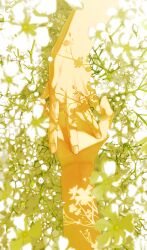  2others artist_name blurry blurry_foreground dappled_sunlight depth_of_field fingers_on_palm flower hand_focus highres holding_hands multiple_others open_hand original rido_(ridograph) sunlight white_flower 