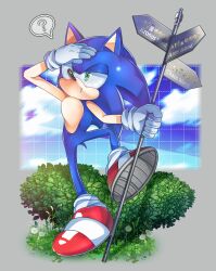  1boy ? absurdres amy_rose animal_ears animal_nose blue_fur bush cameo clouds dandelion flower furry furry_male gloves grass green_eyes hedgehog_boy highres holding holding_sign knuckles_the_echidna koco_(sonic) male_focus r131q red_shoes sage_(sonic) shoes short_tail sign sky solo sonic_(series) sonic_frontiers sonic_the_hedgehog standing tail tails_(sonic) white_gloves 