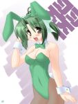  blush brown_legwear bunny_ears bunnysuit green_hair pantyhose rabbit_ears saano_chia taupe_pantyhose 