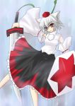  #1 animal_ears hassaku_karin inubashiri_momiji long_skirt shield solo sword touhou weapon wolf_ears 