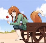  1girl animal_ears artist_name barefoot blush brown_eyes brown_hair day eyebrows_visible_through_hair fox_ears fox_tail highres holo long_hair looking_at_viewer once_11h outdoors parted_lips sitting smile solo spice_and_wolf tail teeth watermark 