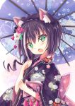  1girl animal_ear_fluff animal_ears bangs black_flower black_hair black_kimono blue_umbrella cat_ears commentary_request eyebrows_visible_through_hair fang floral_background floral_print flower frilled_sleeves frills green_eyes hair_between_eyes hair_flower hair_ornament highres hizaka holding holding_umbrella japanese_clothes kimono kyaru_(princess_connect) long_sleeves looking_at_viewer multicolored_hair obi open_mouth oriental_umbrella princess_connect! princess_connect!_re:dive print_kimono print_umbrella red_flower sash solo streaked_hair umbrella upper_body white_flower white_hair wide_sleeves 