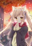  1girl animal_ears autumn black_jacket blurry breath cat_ears commentary_request depth_of_field hamikoron highres jacket light_brown_hair long_hair long_sleeves original red_scarf scarf solo sweater twilight twintails upper_body yellow_eyes 