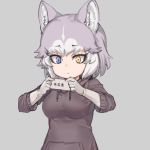  1girl alternate_costume animal_ear_fluff animal_ears blue_eyes casual dog_(mixed_breed)_(kemono_friends) dog_ears dog_girl elbow_gloves eyebrows_visible_through_hair gloves grey_background grey_gloves grey_hair grey_hoodie heterochromia hood hood_down hoodie kemono_friends multicolored_hair nyifu short_hair simple_background solo translation_request upper_body white_hair yellow_eyes 