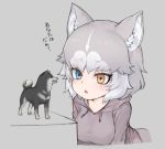  1girl :o animal_ear_fluff animal_ears bangs blue_eyes dog_(mixed_breed)_(kemono_friends) dog_ears drawstring figure grey_background grey_hair grey_hoodie hair_between_eyes heterochromia hood hood_down kemono_friends multicolored_hair nyifu short_hair simple_background solo translated two-tone_hair white_hair yellow_eyes 