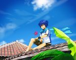  bad_id blue_eyes blue_hair kaito kurafuji_sachi male male_only pinwheel roof rooftop scarf short_hair sitting sky solo spin spinning vocaloid wind 