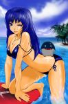  bikini blue blue_eyes blue_hair dolfini long_hair ocean pangya sea surf surfboard surfing swimsuit water wink 