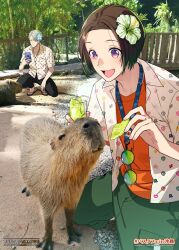  2boys bamboo black_pants blue_flower brown_hair bustafellows capybara feeding_animal flower flower_on_head green_flower green_shorts grey_hair highres holding holding_phone lettuce male_focus multiple_boys official_art pants park phone print_shirt round_eyewear scarecrow_(bustafellows) shirt shorts shu_(bustafellows) sumeragi_kohaku taking_picture 