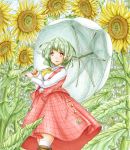 1girl blue_sky boots breasts brown_footwear clouds commentary contrapposto cravat day eyebrows_visible_through_hair feet_out_of_frame field flower flower_field green_hair holding holding_umbrella kazami_yuuka kneehighs large_breasts long_sleeves looking_to_the_side open_clothes open_mouth open_vest outdoors plaid plaid_skirt plaid_vest red_eyes shirt short_hair skirt sky solo standing sunflower touhou umbrella vest white_legwear white_shirt yellow_neckwear ys_(ytoskyoku-57) 