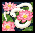  animal black_border black_eyes border flower lily_pad no_humans original pink_flower plant signature snake takigraphic water_lily_flower white_snake 