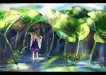  1girl blonde_hair commentary covered_mouth day green_eyes hair_ribbon hands_on_headwear hands_up highres letterboxed light_rays lily_pad long_hair looking_at_viewer moriya_suwako moss nature outdoors purple_skirt purple_vest red_ribbon ribbon shirt skirt solo sunbeam sunlight touhou turtleneck vest wading water white_shirt wide_shot wide_sleeves zhu_xiang 