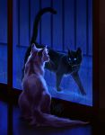  2018 animal black_cat blue_eyes cat cat_focus commentary dark devin_elle_kurtz door english_commentary eye_contact full_body glass glass_door looking_at_another looking_to_the_side no_humans original rain realistic signature standing walking water wet 