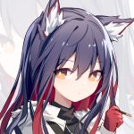  1girl animal_ear_fluff animal_ears arknights black_hair expressionless food gloves hair_between_eyes holding jacket kurisu_tina looking_at_viewer multicolored_hair orange_eyes pocky portrait red_gloves redhead solo texas_(arknights) two-tone_hair wolf_ears zoom_layer 