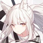  1girl animal_ear_fluff animal_ears arknights arm_up brown_eyes capelet expressionless kurisu_tina long_hair looking_at_viewer platinum_(arknights) ponytail portrait solo white_hair zoom_layer 