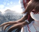  1girl 2020 bangs blurry blurry_background bow brown_hair closed_mouth collarbone eyebrows_visible_through_hair floating_hair frilled_bow frilled_hair_tubes frills hair_between_eyes hair_bow hair_tubes hakurei_reimu happy_new_year highres long_hair looking_at_viewer new_year portrait print_bow red_bow red_eyes shiny shiny_hair shiranui_(wasuresateraito) smile solo touhou 