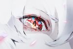  1other albino close-up colored_eyelashes commentary_request eyes highres hoshizaki_reita looking_at_viewer original pale_skin red_eyes solo white_hair 