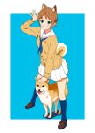  1girl :d animal_ears aqua_eyes blue_background blue_eyes blue_legwear blue_neckwear blush brown_footwear brown_hair brown_jacket dog dog_ears dog_girl dog_tail eyebrows_visible_through_hair grin hand_up hi_iro highres jacket legs_apart looking_at_viewer open_mouth original outside_border petting pleated_skirt sailor_collar school_uniform serafuku shiba_inu shoes short_hair simple_background skirt smile socks solo standing tail waving white_sailor_collar white_skirt 