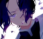  1girl angry black_hair bug butterfly clenched_teeth close-up dutch_angle furrowed_eyebrows glaring insect kimetsu_no_yaiba kochou_shinobu lips looking_at_viewer mana111700 mouth_hold multicolored_hair portrait purple_hair short_hair simple_background solo tears teeth two-tone_hair violet_eyes white_background 