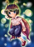  antenna cape sakurano short_hair touhou wriggle_nightbug 