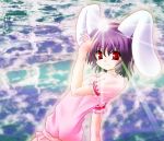  bunny_ears inaba_tewi lens_flare rabbit_ears touhou 