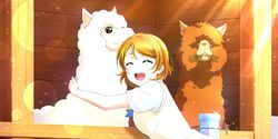  alpaca blush brown_hair closed_eyes dress koizumi_hanayo love_live!_school_idol_festival_all_stars short_hair smile 