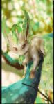  2013 branch commentary creature day english_commentary full_body gen_4_pokemon jazzycat leafeon nature no_humans pillarboxed pokemon pokemon_(creature) signature solo 
