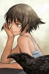  1girl bird brown_eyes brown_hair character_request closed_mouth crow dress eyebrows_visible_through_hair hankuri short_hair simple_background smile 