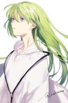  1boy androgynous aqua_eyes blurry depth_of_field enkidu_(fate/strange_fake) eyelashes fate/strange_fake fate_(series) green_eyes green_hair highres makimura_(miwmiw-cage) male_focus solo twitter_username upper_body wide_sleeves 