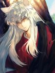  1boy animal_ears blue_sky day dog_ears eyebrows_visible_through_hair highres inuyasha inuyasha_(character) japanese_clothes long_hair looking_down male_focus mgmg_1012 open_mouth outdoors shaded_face sky solo tree upper_body white_hair yellow_eyes 