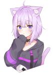  1girl absurdres ahoge animal_ear_fluff animal_ears bangs belt_collar blush cat_ears cat_tail collar cropped_torso crossed_bangs ears_down eyebrows_visible_through_hair grey_sweater hair_between_eyes hand_up highres hololive looking_at_viewer nekomata_okayu parted_bangs purple_hair racchi. short_hair simple_background sleeves_past_wrists solo sweater tail upper_body violet_eyes white_background 